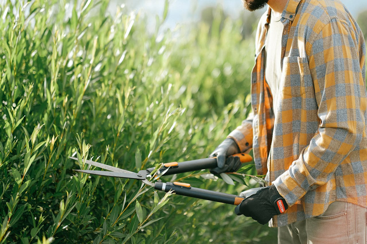 heros-img Close-up of a gardener in plaid shirt trimming green bushes with shears outdoors on a sunny day.