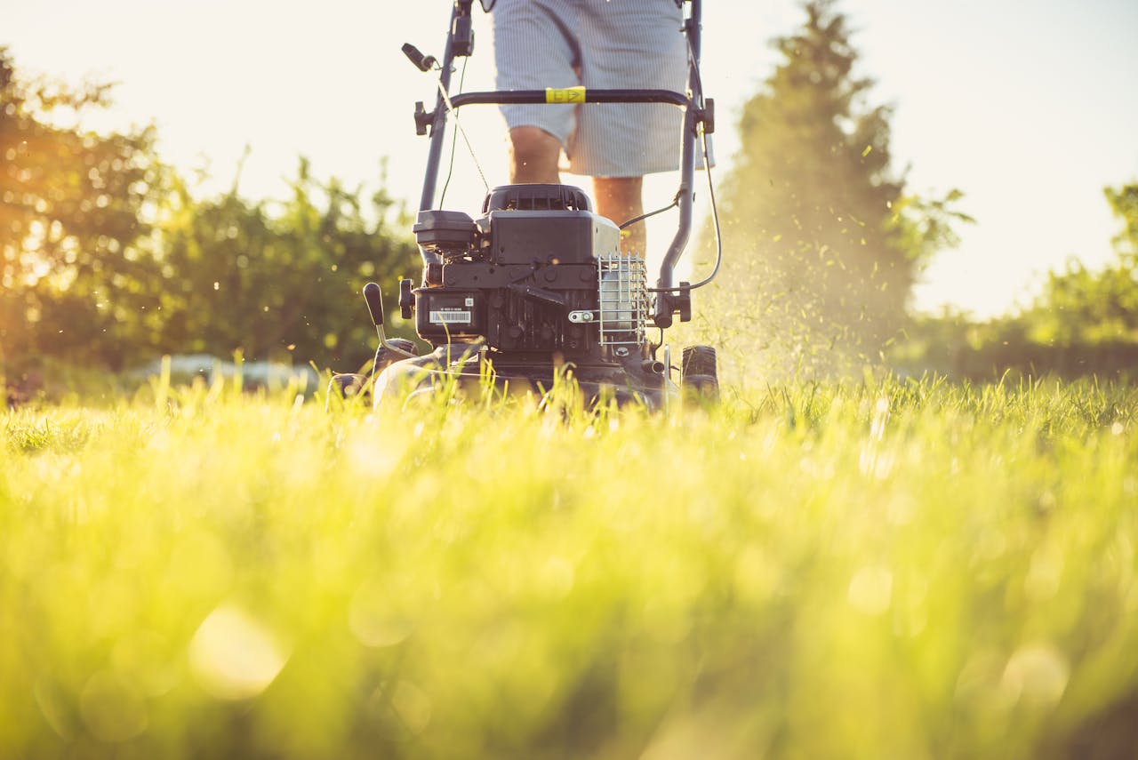 about-us Close-up of a person mowing the lawn with a gas lawn mower on a sunny summer day.